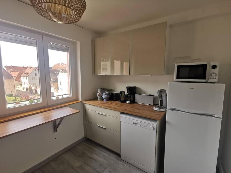Logement Colmar Centre Avec Parking Luaran gambar